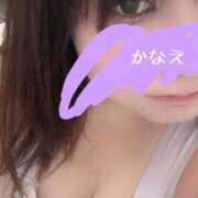 ヒメ日記 2026/04/03 10:31 投稿 かなえ 久喜鷲宮ちゃんこ