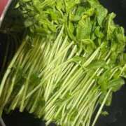 ヒメ日記 2026/04/04 17:41 投稿 かなえ 久喜鷲宮ちゃんこ