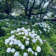 ヒメ日記 2026/06/14 08:11 投稿 かなえ 久喜鷲宮ちゃんこ
