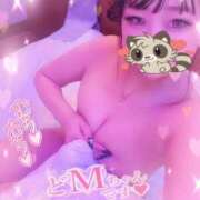 ヒメ日記 2026/03/12 15:23 投稿 きるあ 性癖の歪んだ生粋のドM L＆Jブラザーズ