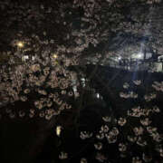 ヒメ日記 2026/04/04 21:38 投稿 ミヤビ watermelon(ウォーターメロン)