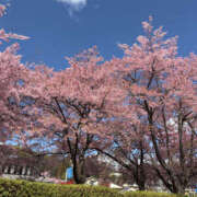 ヒメ日記 2026/03/10 20:52 投稿 マツリ watermelon(ウォーターメロン)