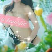 ヒメ日記 2026/04/04 15:15 投稿 三浦 シャトーペトラ