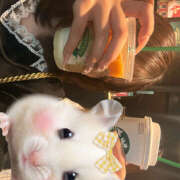 ヒメ日記 2026/04/13 19:19 投稿 りこ みつばちマーヤZ