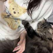 一条　ほのか いよいよ明日 YUDEN〜油殿〜谷九・日本橋店