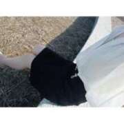 ヒメ日記 2026/03/13 01:24 投稿 工藤 由美 人妻セレブ宮殿