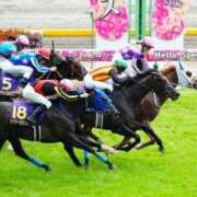 ヒメ日記 2026/05/24 16:50 投稿 はな★ Club夢