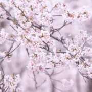 新人・香織(かおり) 楽しみ🤍 グランドオペラ東京