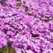 新人・香織(かおり) 向かってます☺️ グランドオペラ東京