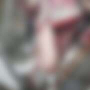 ヒメ日記 2026/03/28 18:10 投稿 みゅう さくらん