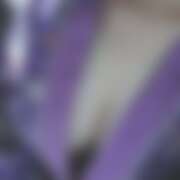 ヒメ日記 2026/04/06 15:28 投稿 みゅう さくらん