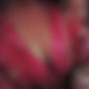 ヒメ日記 2026/05/06 15:10 投稿 みゅう さくらん