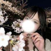 ヒメ日記 2026/04/05 04:11 投稿 なみほ ピンクコレクション大阪