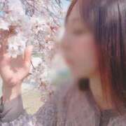 ヒメ日記 2026/04/09 13:06 投稿 目黒 久留米デリヘルセンター