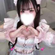ヒメ日記 2026/08/03 08:10 投稿 なな E+アイドルスクール品川店