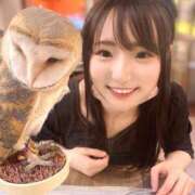 ヒメ日記 2026/03/25 02:33 投稿 雅子◯な ワンダーホール24in幕張