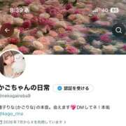 雅子◯な 💖X【nekogaireba9】 ワンダーホール24in幕張