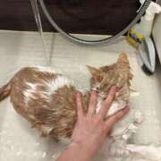 ヒメ日記 2026/04/06 02:37 投稿 雅子◯な ワンダーホール24