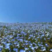 ヒメ日記 2026/04/02 11:31 投稿 める CUTE