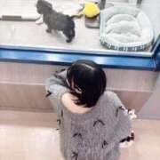 める おしらせです? CUTE