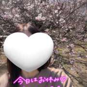 ヒメ日記 2026/03/27 23:10 投稿 三菱 ゆうこ セカンドパートナー池袋