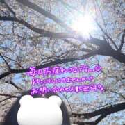 ヒメ日記 2026/04/03 19:40 投稿 三菱 ゆうこ セカンドパートナー池袋