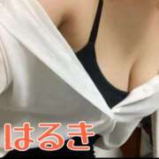 ヒメ日記 2026/03/23 18:30 投稿 はるき先生 DANDY BODY