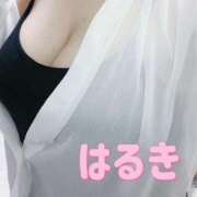 ヒメ日記 2026/03/24 15:18 投稿 はるき先生 DANDY BODY