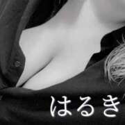 ヒメ日記 2026/03/28 20:33 投稿 はるき先生 DANDY BODY