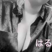 ヒメ日記 2026/04/09 12:33 投稿 はるき先生 DANDY BODY