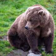 ヒメ日記 2026/04/22 15:15 投稿 はるき先生 DANDY BODY