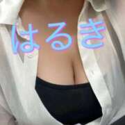 ヒメ日記 2026/04/24 13:18 投稿 はるき先生 DANDY BODY