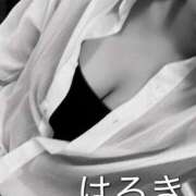 ヒメ日記 2026/04/25 14:03 投稿 はるき先生 DANDY BODY