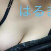 ヒメ日記 2026/04/29 23:12 投稿 はるき先生 DANDY BODY