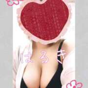 ヒメ日記 2026/05/30 15:33 投稿 はるき先生 DANDY BODY