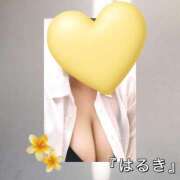 ヒメ日記 2026/06/12 16:33 投稿 はるき先生 DANDY BODY