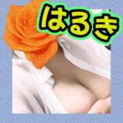 ヒメ日記 2026/06/28 16:03 投稿 はるき先生 DANDY BODY