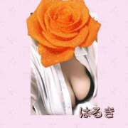 ヒメ日記 2026/06/29 16:03 投稿 はるき先生 DANDY BODY