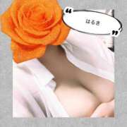 ヒメ日記 2026/07/01 17:33 投稿 はるき先生 DANDY BODY