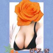 ヒメ日記 2026/07/13 18:48 投稿 はるき先生 DANDY BODY