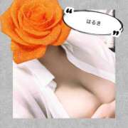 ヒメ日記 2026/07/25 18:57 投稿 はるき先生 DANDY BODY