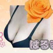 ヒメ日記 2026/08/10 21:03 投稿 はるき先生 DANDY BODY