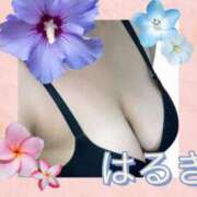 ヒメ日記 2026/09/10 18:48 投稿 はるき先生 DANDY BODY