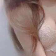 ゆゆ こんばんは 🐶 アネックスジャパン