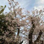 ヒメ日記 2026/04/04 22:57 投稿 宮川あいか ワイフコレクション