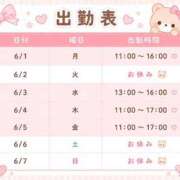 せいら 🎀6/1~6/7出勤予定🎀 あふたーすくーる本店