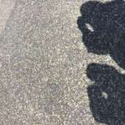 ヒメ日記 2026/03/24 13:01 投稿 みるく プレミアム(福原)