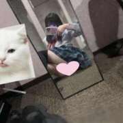 ヒメ日記 2026/04/02 12:51 投稿 みるく プレミアム(福原)