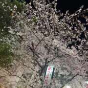 ヒメ日記 2026/04/02 22:07 投稿 みるく プレミアム(福原)