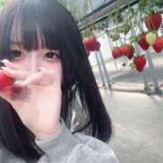 ヒメ日記 2026/04/03 20:21 投稿 みるく プレミアム(福原)